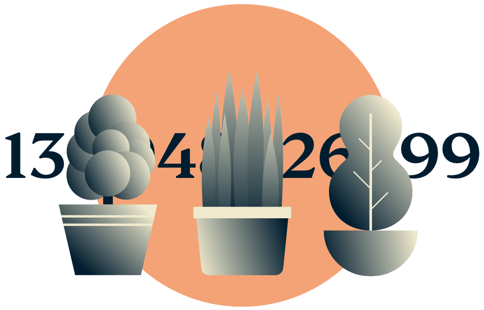 Disimule su direcci&oacute;n IP: plantas en maceta que ocultan una direcci&oacute;n IP.